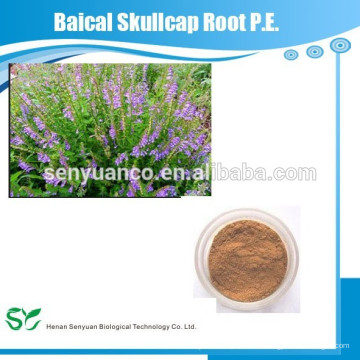 100% reine natürliche Baical Skullcap Root